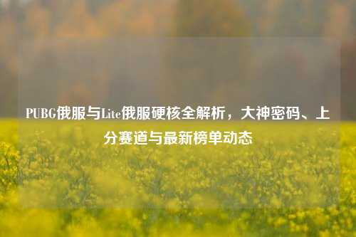 PUBG俄服与Lite俄服硬核全解析,大神密码、上分赛道与最新榜单动态