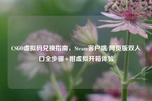 CSGO虚拟码兑换指南,Steam客户端/网页版双入口全步骤+附虚拟开箱体验