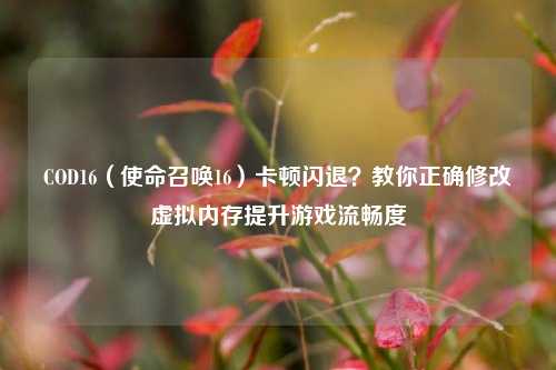 COD16(使命召唤16)卡顿闪退?教你正确修改虚拟内存提升游戏流畅度
