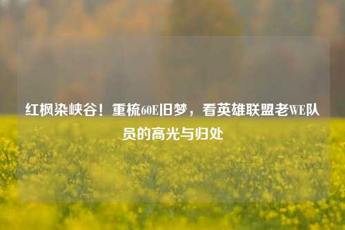 红枫染峡谷!重梳60E旧梦,看英雄联盟老WE队员的高光与归处