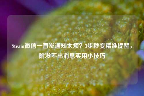 Steam微信一直发通知太烦?3步秒变精准提醒,附发不出消息实用小技巧