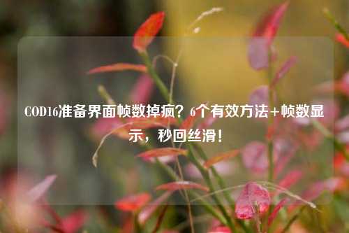 COD16准备界面帧数掉疯？6个有效     +帧数显示，秒回丝滑！