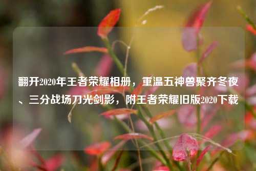 翻开2020年王者荣耀相册,重温五神兽聚齐冬夜、三分战场刀光剑影,附王者荣耀旧版2020下载