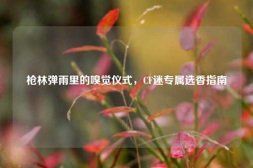 枪林弹雨里的嗅觉仪式,CF迷专属选香指南