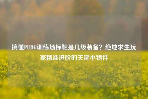 搞懂PUBG训练场标靶是几级装备？绝地求生玩家精准进阶的关键小物件