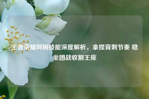 王者荣耀阿轲技能深度解析,拿捏背刺节奏 稳坐团战收割王座