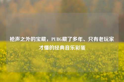 枪声之外的宝藏，PUBG藏了多年、只有老玩家才懂的经典音乐彩蛋