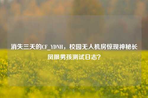 消失三天的CF_YDNH,校园无人机房惊现神秘长凤眼男孩测试日志?