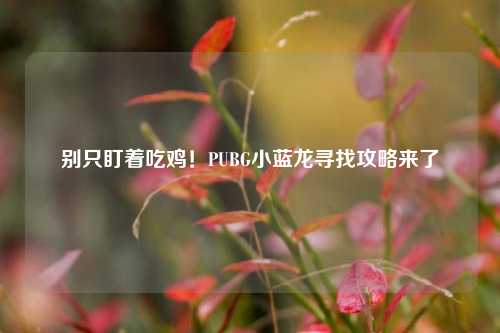 别只盯着吃鸡!PUBG小蓝龙寻找攻略来了
