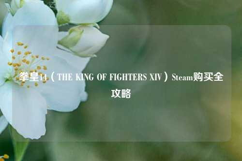 拳皇14（THE KING OF FIGHTERS XIV）Steam购买全攻略