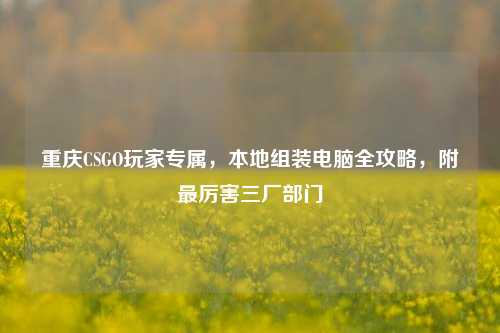 重庆CSGO玩家专属,本地组装电脑全攻略,附最厉害三厂部门