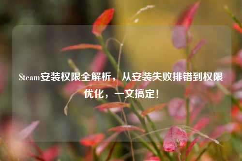 Steam安装权限全解析,从安装失败排错到权限优化,一文搞定!