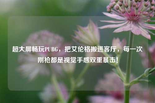 超大屏畅玩PUBG,把艾伦格搬进客厅,每一次刚枪都是视觉手感双重暴击!