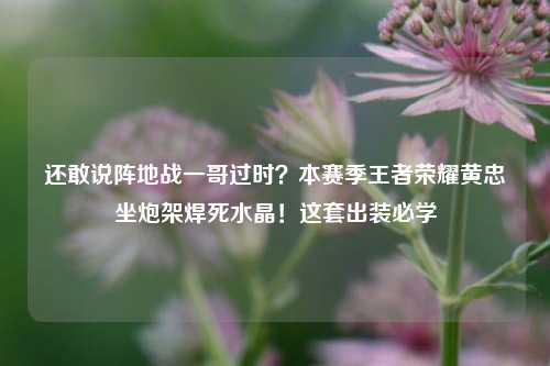 还敢说阵地战一哥过时?本赛季王者荣耀黄忠坐炮架焊死水晶!这套出装必学