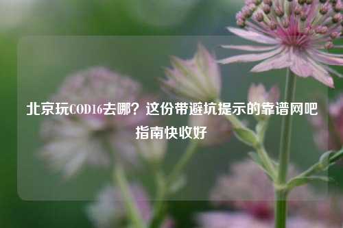 北京玩COD16去哪?这份带避坑提示的靠谱网吧指南快收好