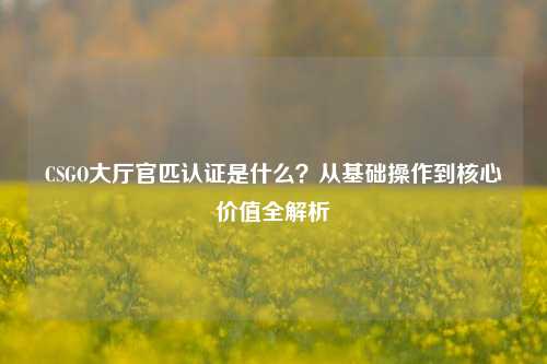 CSGO大厅官匹认证是什么?从基础操作到核心价值全解析
