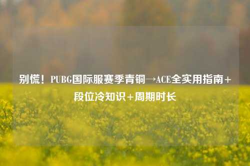 别慌！PUBG国际服赛季青铜→ACE全实用指南+段位冷知识+周期时长
