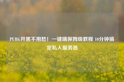PUBG开黑不用愁!一键端保姆级教程 10分钟搞定私人服务器