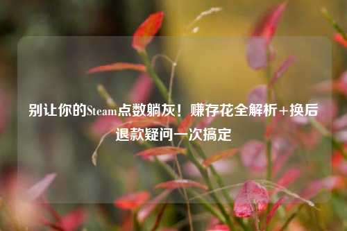 别让你的Steam点数躺灰！赚存花全解析+换后退款疑问一次搞定