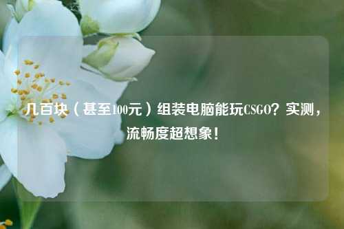 几百块(甚至100元)组装电脑能玩CSGO?实测,流畅度超想象!
