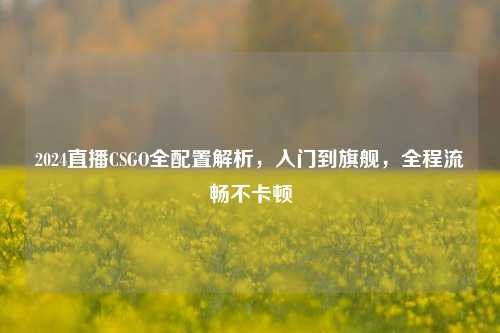 2024直播CSGO全配置解析,入门到旗舰,全程流畅不卡顿