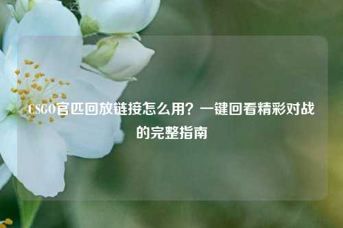 CSGO官匹回放链接怎么用?一键回看精彩对战的完整指南