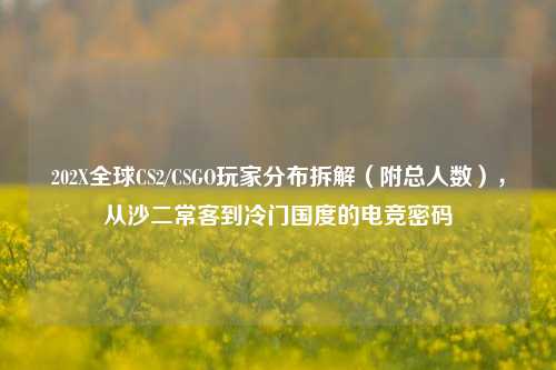 202X全球CS2/CSGO玩家分布拆解(附总人数),从沙二常客到冷门国度的电竞密码