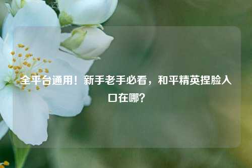 全平台通用!新手老手必看,和平精英捏脸入口在哪?