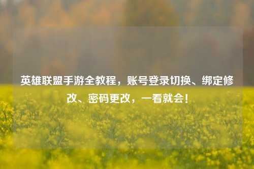 英雄联盟手游全教程，账号登录切换、绑定修改、密码更改，一看就会！