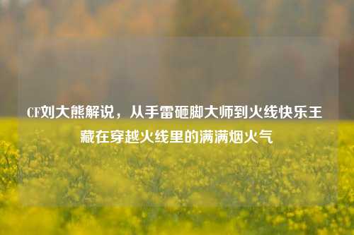 CF刘大熊解说,从手雷砸脚***到火线快乐王 藏在穿越火线里的满满烟火气