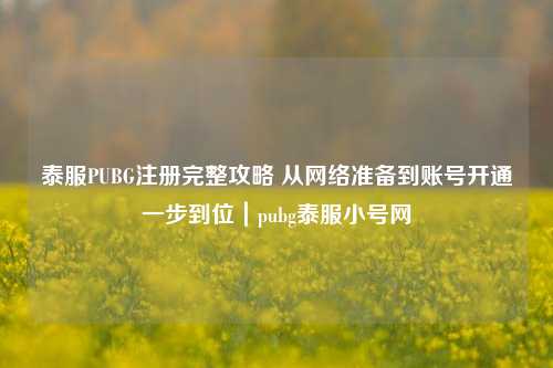 泰服PUBG注册完整攻略 从 准备到账号开通一步到位|pubg泰服小号网