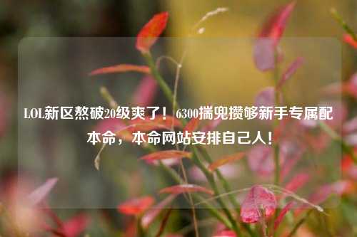 LOL新区熬破20级爽了!6300揣兜攒够新手专属配本命,本命网站安排自己人!