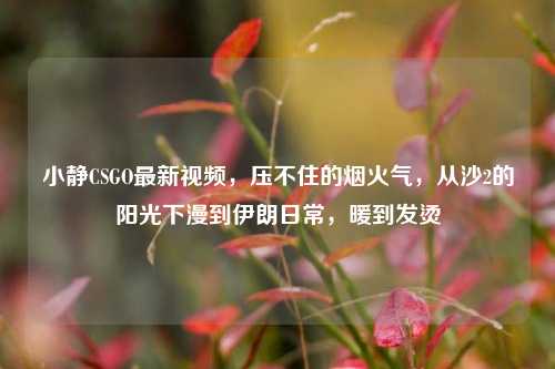 小静CSGO最新视频,压不住的烟火气,从沙2的阳光下漫到伊朗日常,暖到发烫