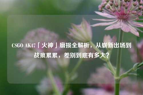 CSGO AK47「火神」磨损全解析,从崭新出场到战痕累累,差别到底有多大?