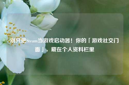 别只把Steam当游戏启动器!你的「游戏社交门面」,藏在个人资料栏里