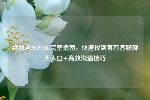 绝地求生PUBG完整指南,快速找到官方 聊天入口+高效沟通技巧