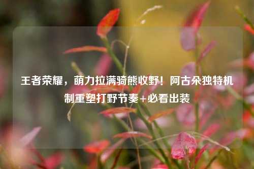 王者荣耀,萌力拉满骑熊收野!阿古朵独特机制重塑打野节奏+必看出装