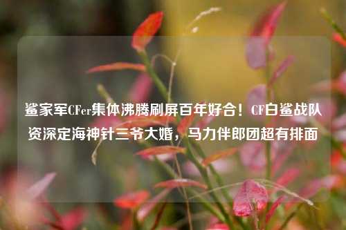 鲨家军CFer集体沸腾刷屏百年好合!CF白鲨战队资深定海神针三爷大婚,马力伴郎团超有排面