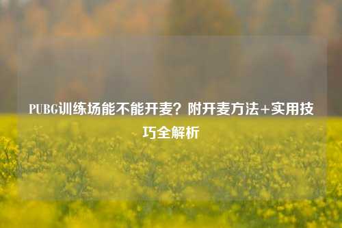 PUBG训练场能不能开麦?附开麦 +实用技巧全解析