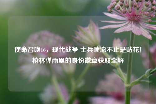 使命召唤16,现代战争 士兵喷漆不止是贴花!枪林弹雨里的身份徽章获取全解