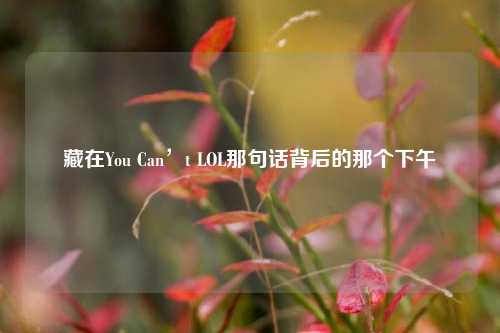藏在You Can’t LOL那句话背后的那个下午