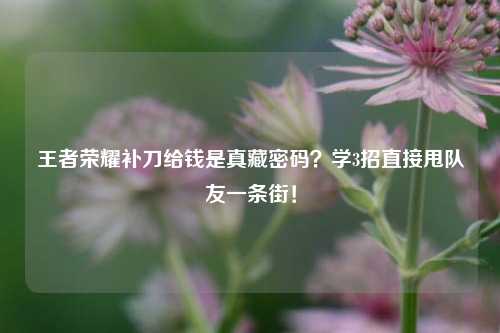 王者荣耀补刀给钱是真藏密码?学3招直接甩队友一条街!