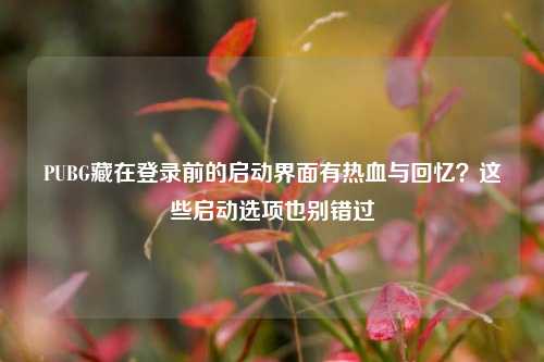PUBG藏在登录前的启动界面有热血与回忆?这些启动选项也别错过