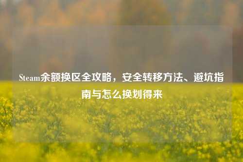 Steam余额换区全攻略,安全转移 、避坑指南与怎么换划得来