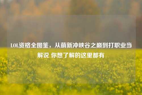 LOL资格全图鉴,从萌新冲峡谷之巅到打职业当解说 你想了解的这里都有
