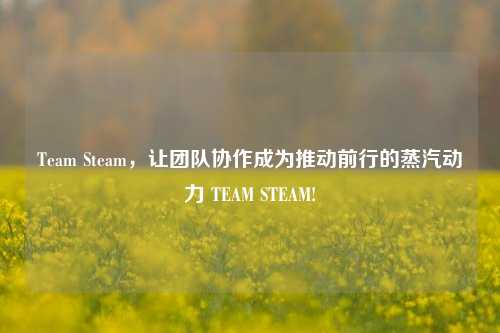 Team Steam,让团队协作成为推动前行的蒸汽动力 TEAM STEAM!