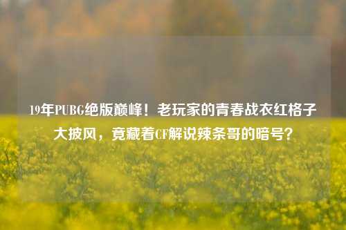 19年PUBG绝版巅峰!老玩家的青春战衣红格子大披风,竟藏着CF解说辣条哥的暗号?