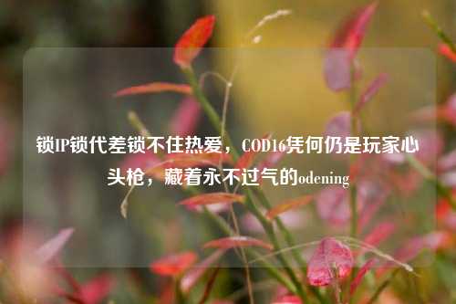 锁IP锁代差锁不住热爱,COD16凭何仍是玩家心头枪,藏着永不过气的odening