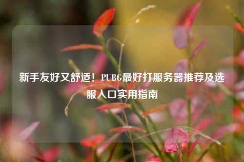 新手友好又舒适!PUBG更好打服务器推荐及选服入口实用指南