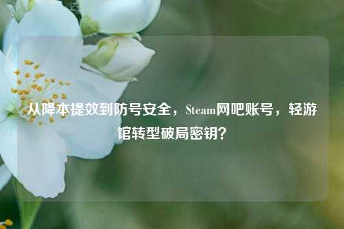 从降本提效到防号安全,Steam网吧账号,轻游馆转型破局密钥?